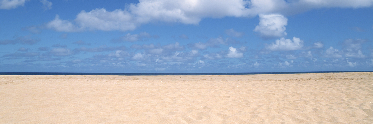 女性におすすめしたい、安心して検査できる東京都内の胃・大腸カメラクリニック5選